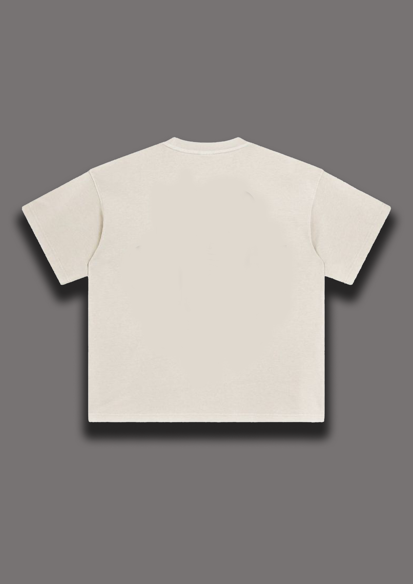 Max Verstappen F1 Tshirts | Unisex Oversized Formula one tshirts