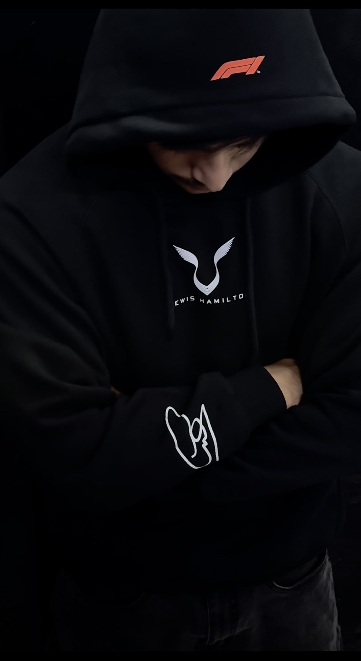 Lewis Hamilton Hoodie | Oversized Hoodie | Formula One