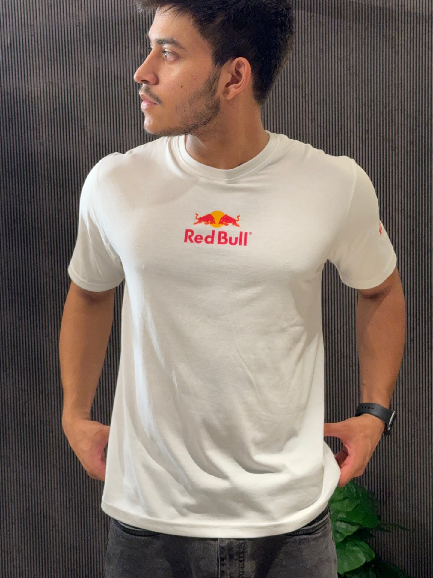 Formula One Tshirts | Oversized F1 Tshirts | Redbull F1 Tshirt