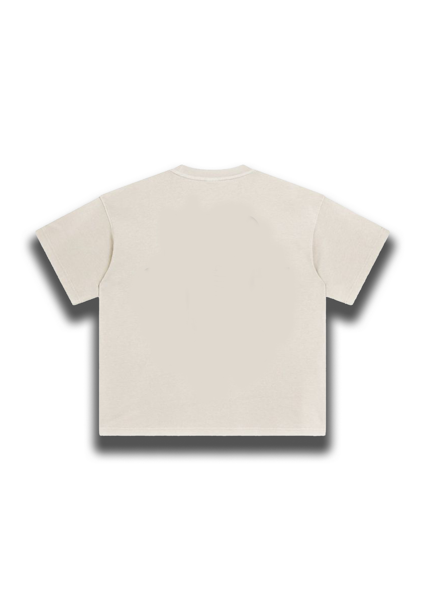 Ferrari F1 Tshirt | Formula One Oversized Tshirts