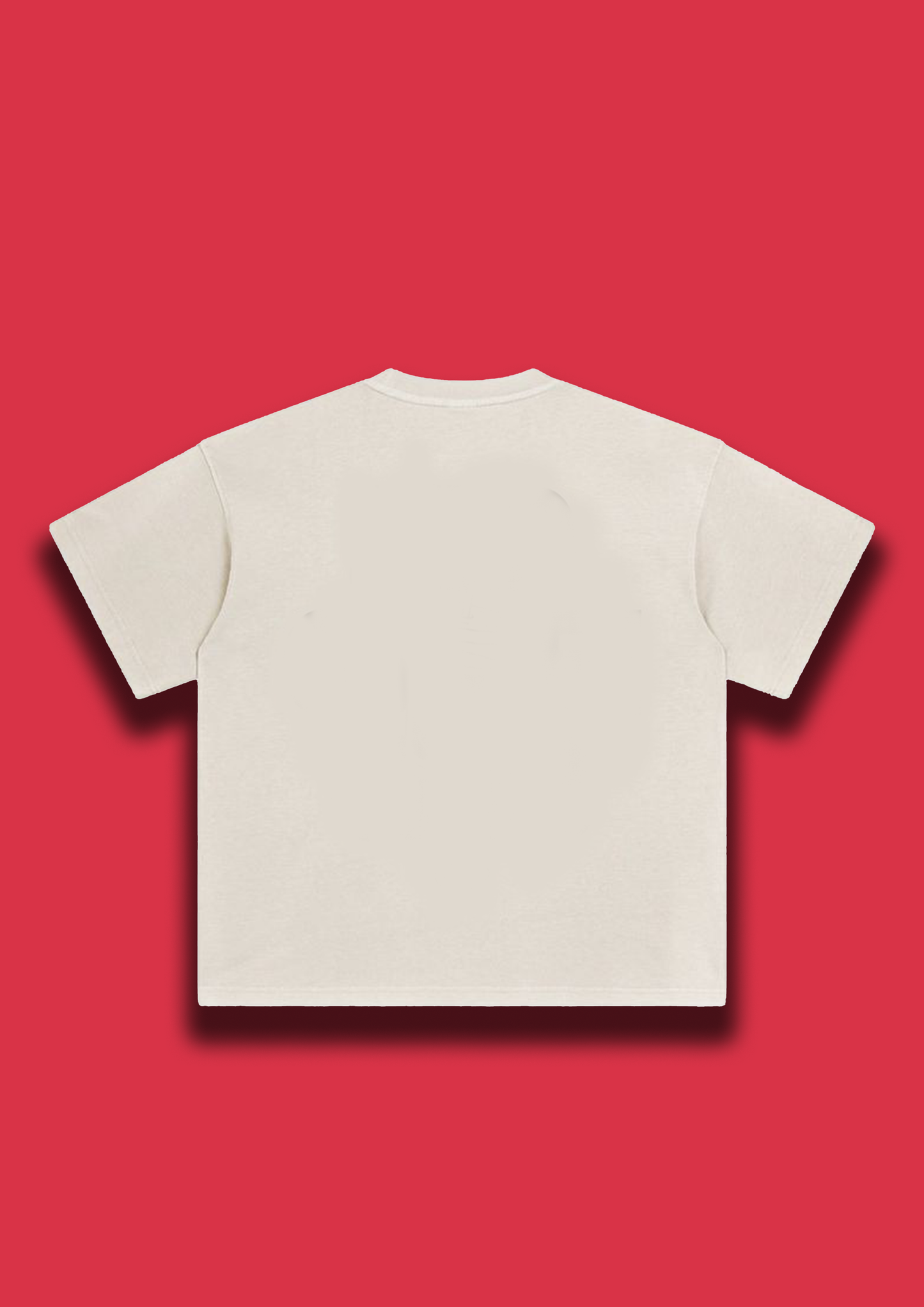 Taylor Swift Tshirt | Oversized Women Collection