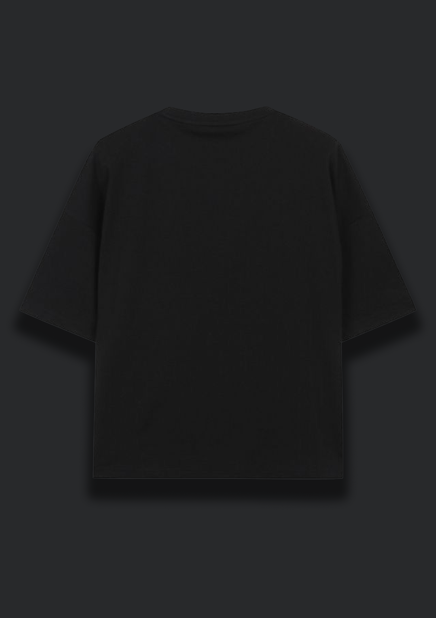 Charles Leclerc Oversized Tshirts | Formula One Tshirts | F1 Tshirts