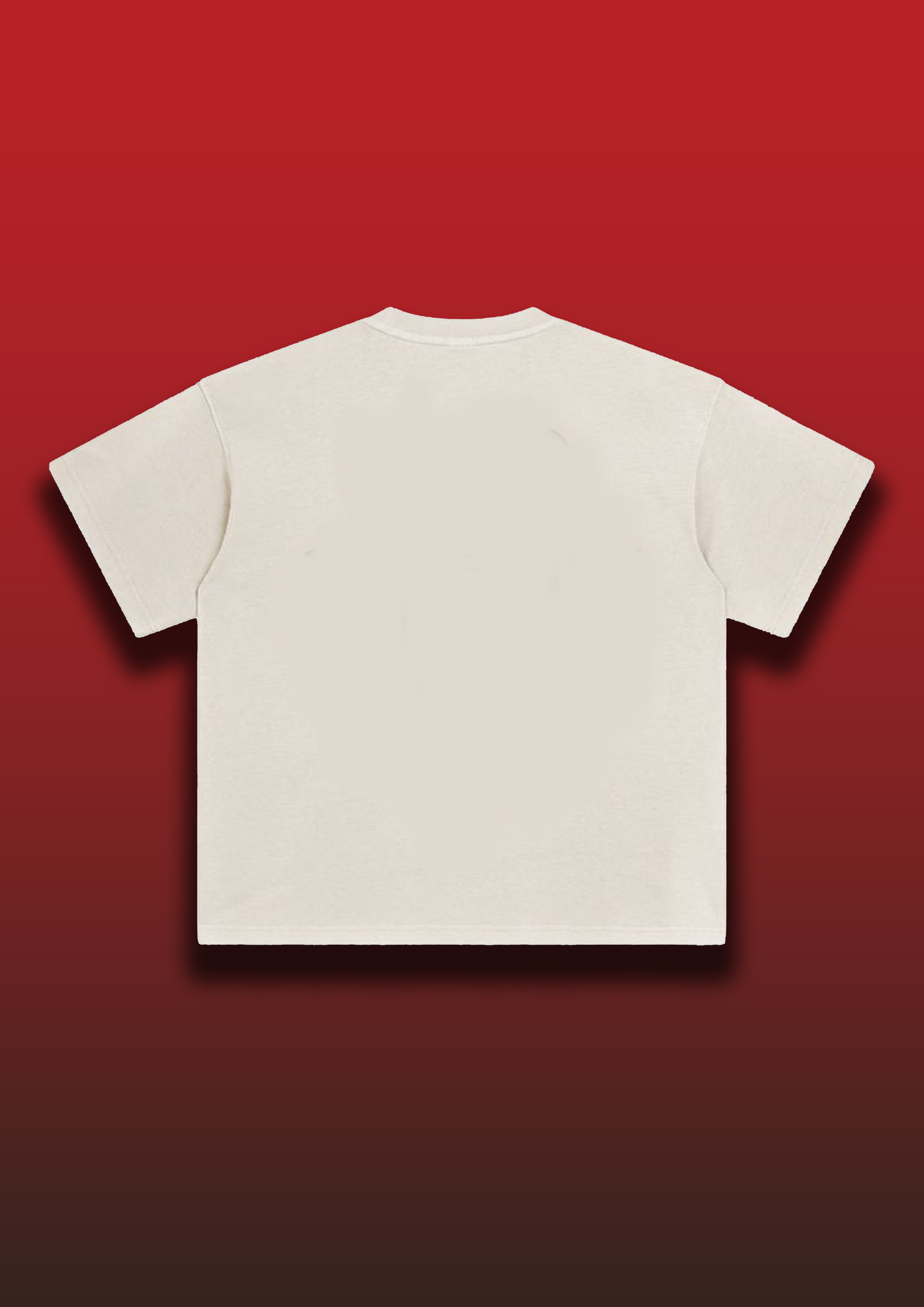 Formula One Carlos Sainz | f1 Tshirts | Formula One tshirts | Carlos Sainz Tshirts