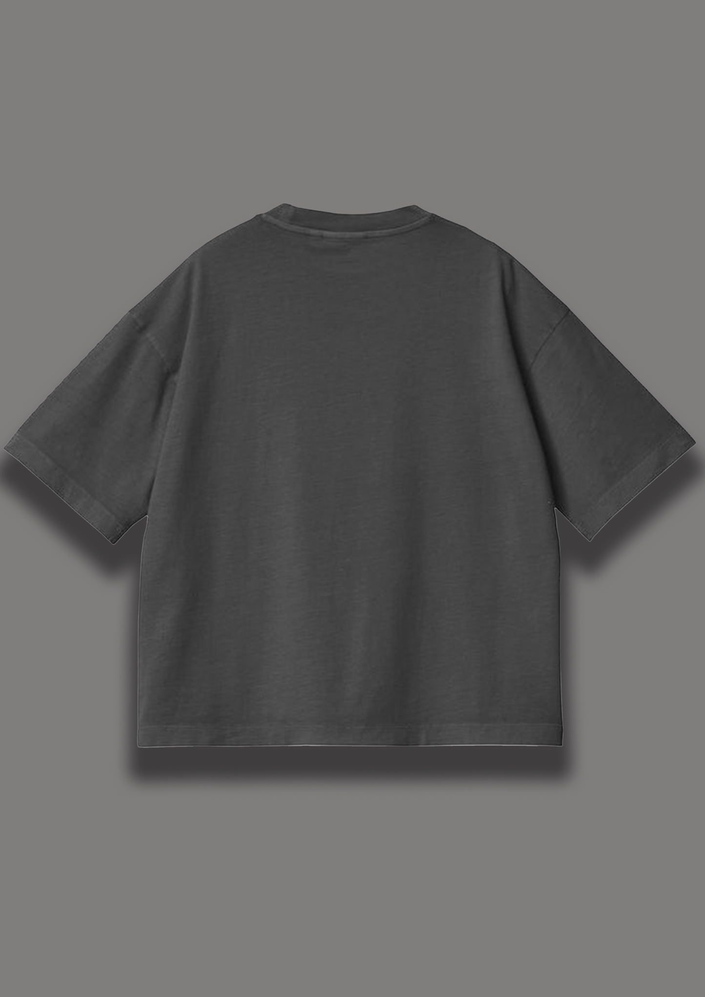 Charles Leclerc Oversized Tshirts | Formula One Tshirts | F1 Tshirts