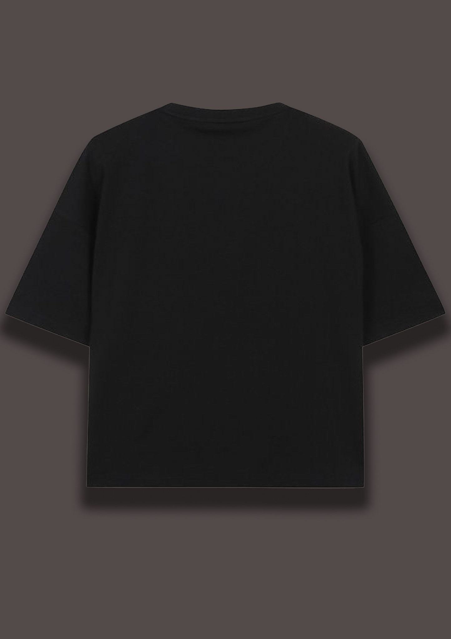 Lando Norris F1 tshirts | Formula One Tshirt | Unisex Oversized