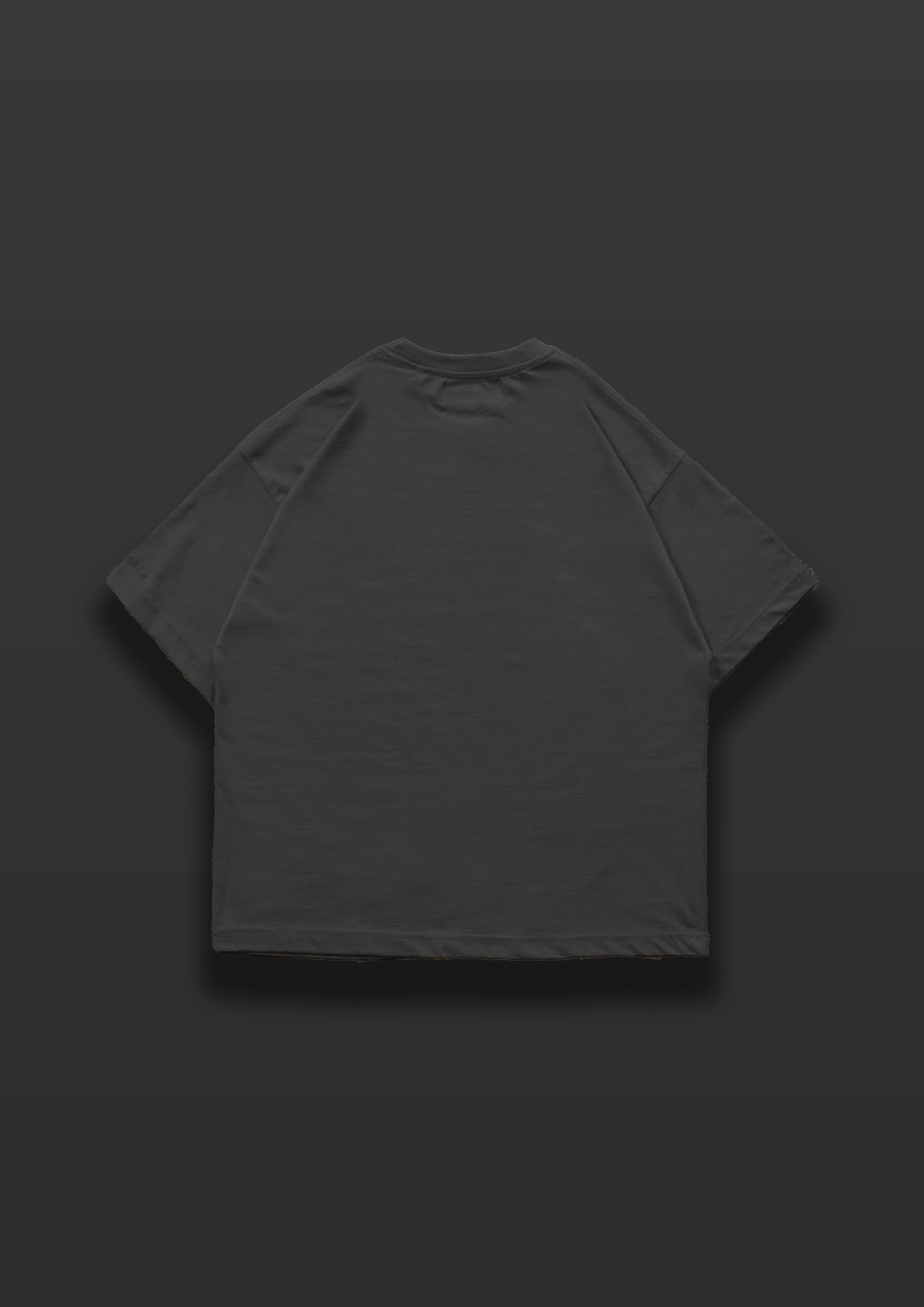 S2 STREETWEAR TSHIRT | OVERSIZED TSHIRT