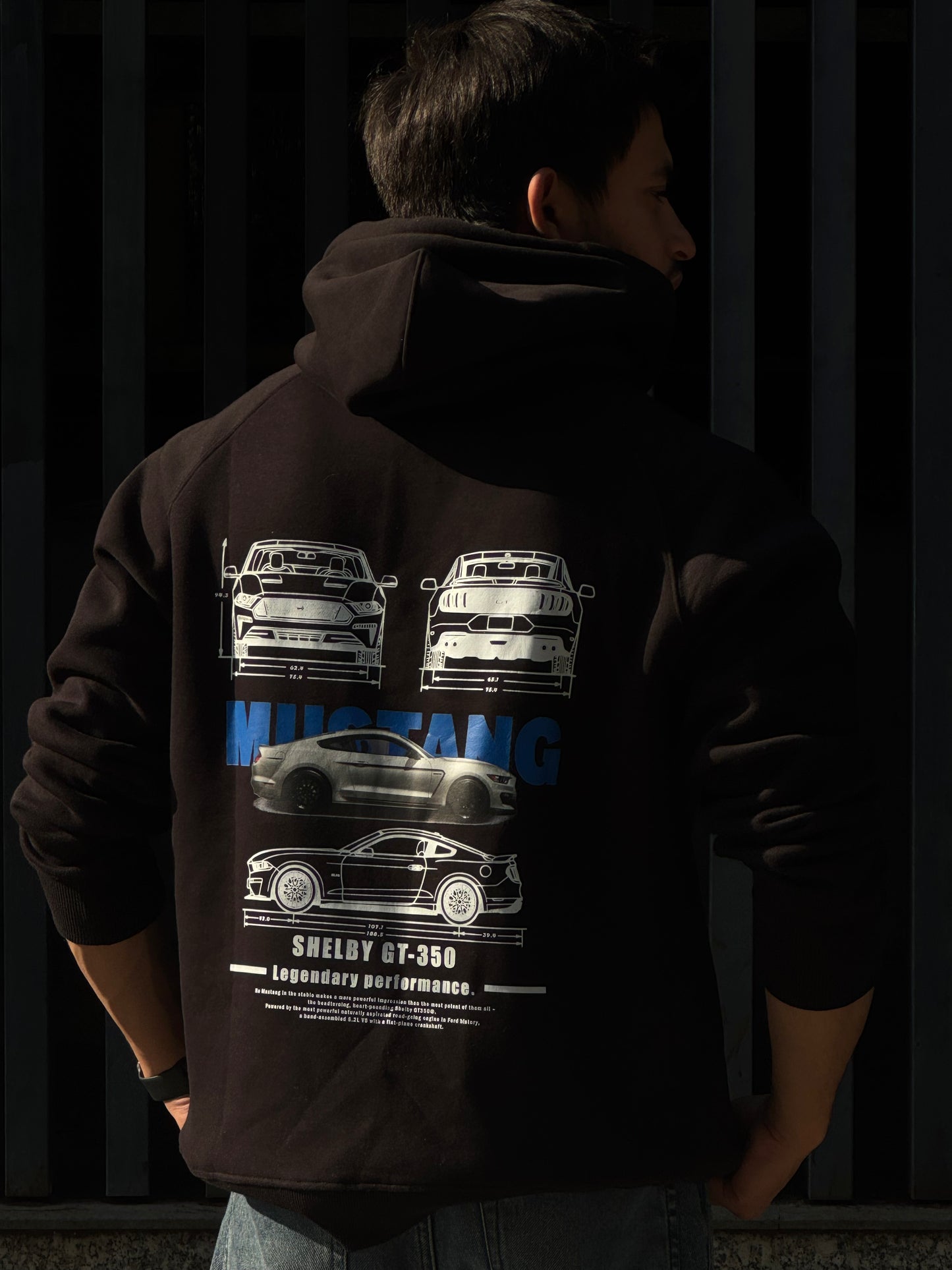 CAR HOODIES | MUSTANG GT-350 HOODIE | OVERSIZED HOODIES | PREMIUM QUALITY